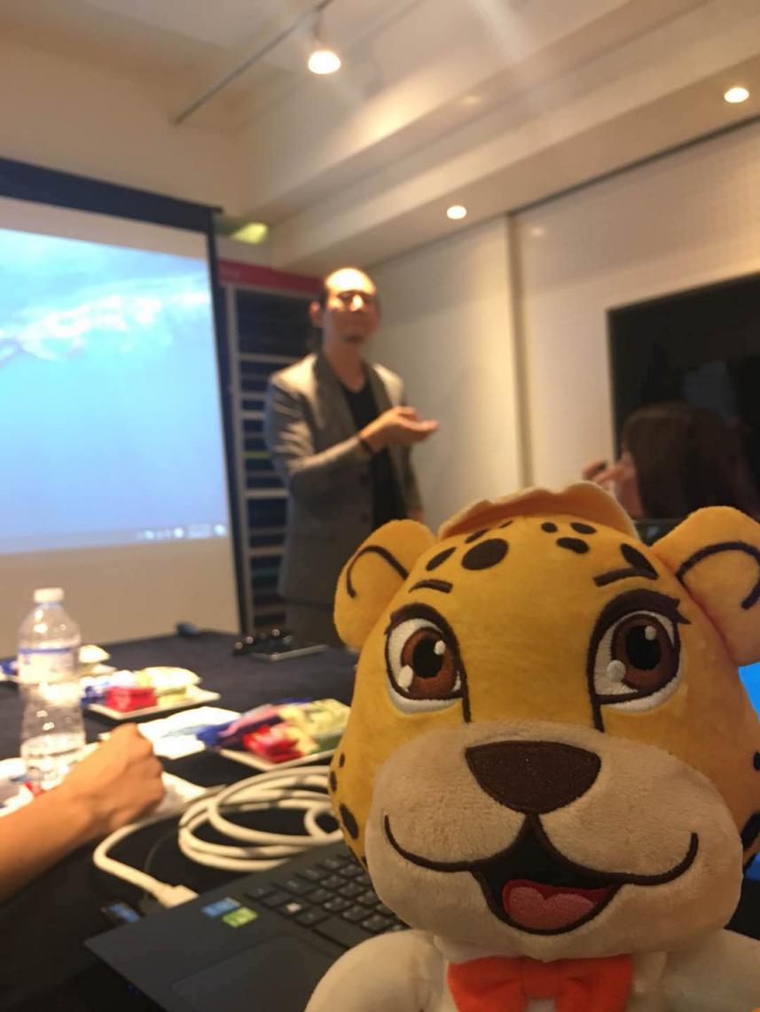 1527761060235060.jpg 10.jpg