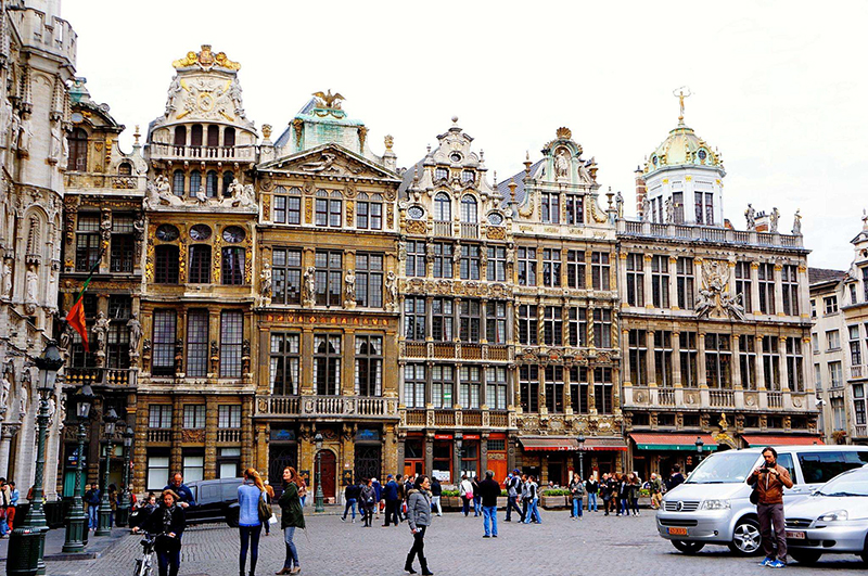 1551519231679211.jpg 8.jpg