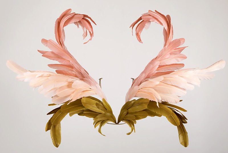 1552896609148712.jpg 9.jpg