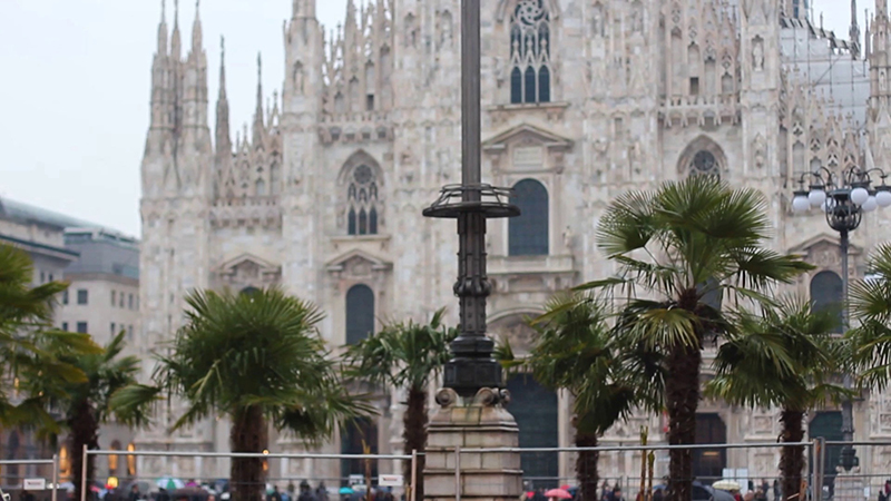 1557453541239061.jpg 3.jpg