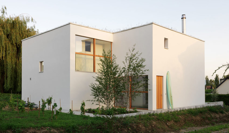 1600220918189490.jpg 1.jpg