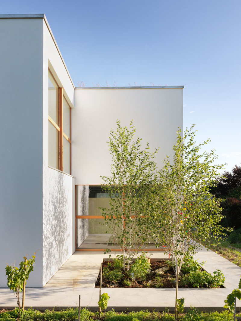 1600221138712363.jpg 4.jpg