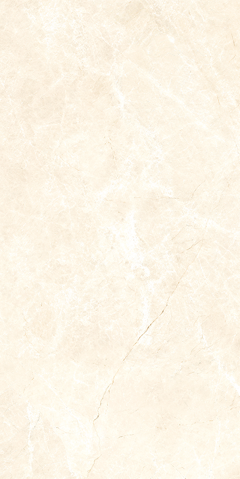 SKB201120240S白玉兰