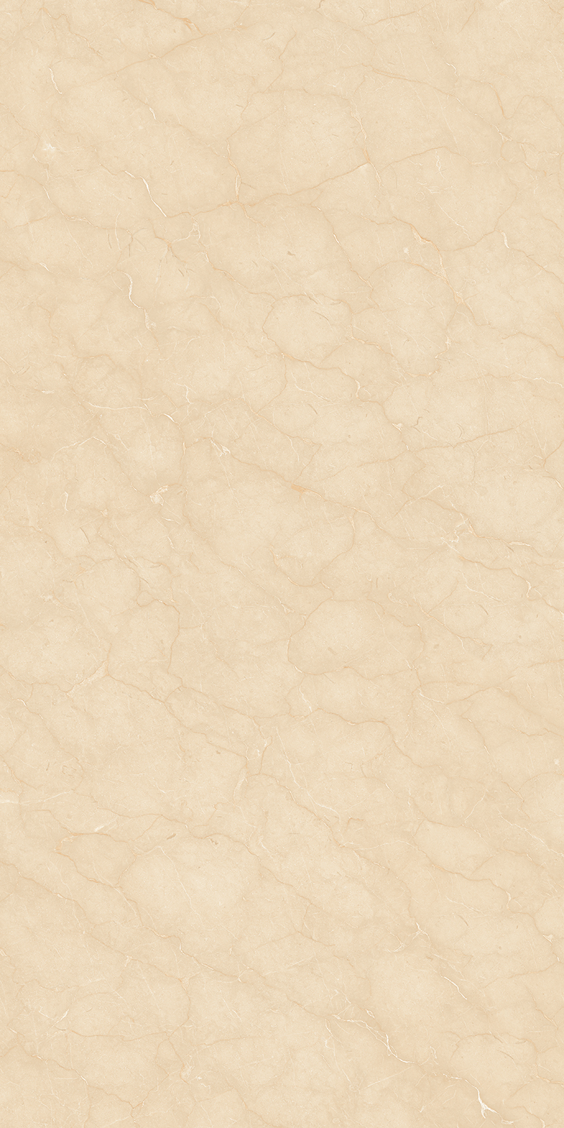 【FCT20480160S 老矿莎安娜】