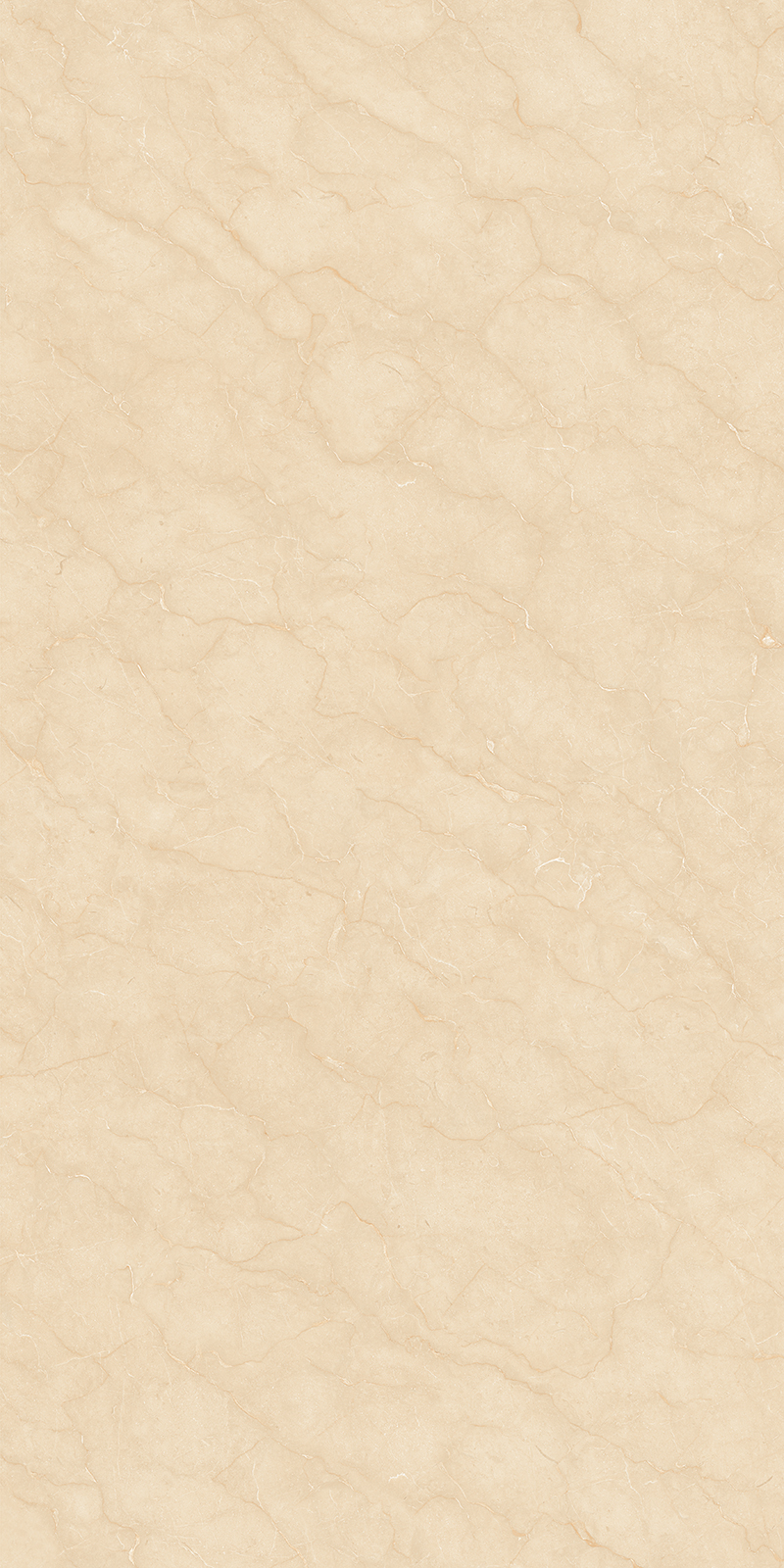 【FCT20480160S 老矿莎安娜】